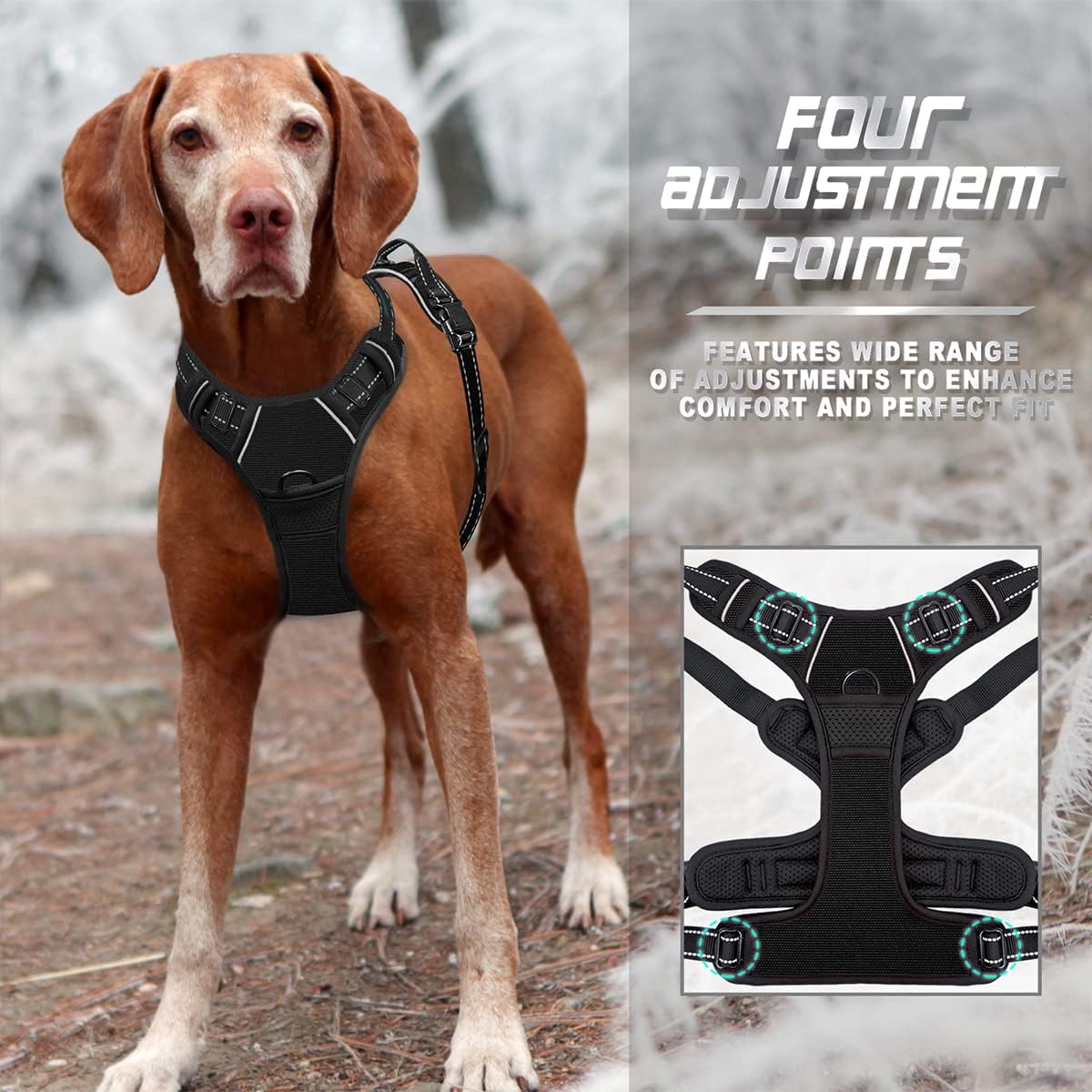 Side profile of black barkbay no pull dog harness