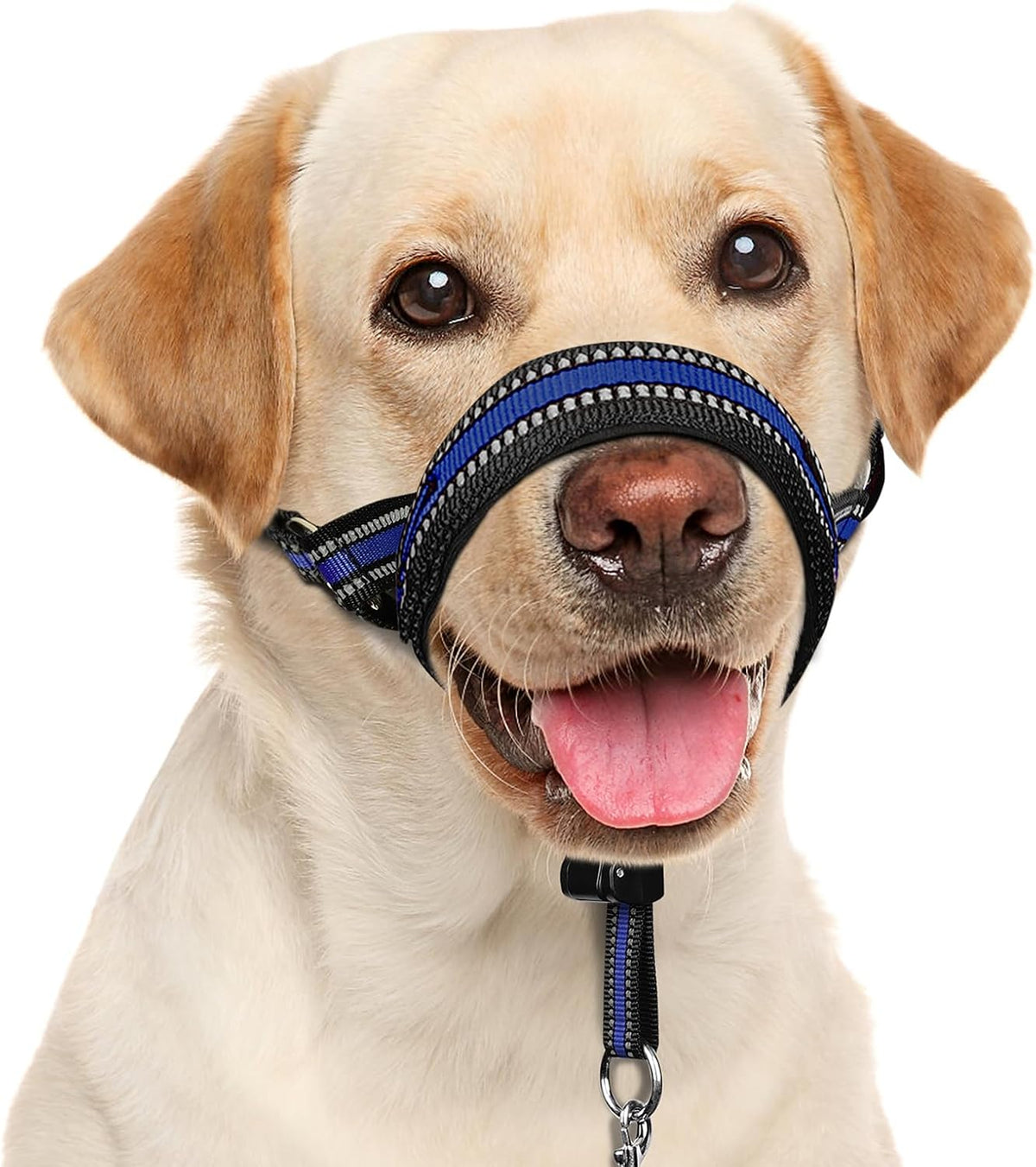 BARKLESS Soft Dog Head Collar, Patented Padded No Pull Head Halter, Training Nose Leash with Safety Link for Medium Large Dogs, Adjustable Muzzle Leash, Easy Control for Walking(Black, M) - Image 9