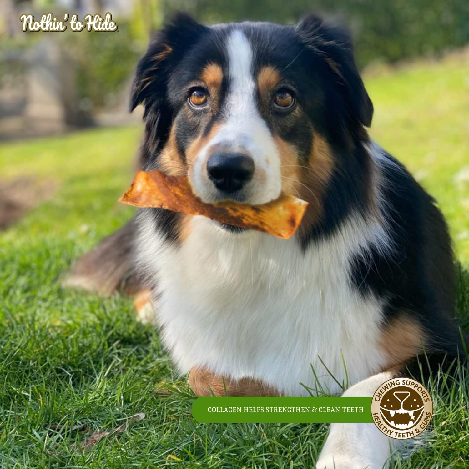 Fieldcrest Farms collagen based healthy dental dog chews package close up