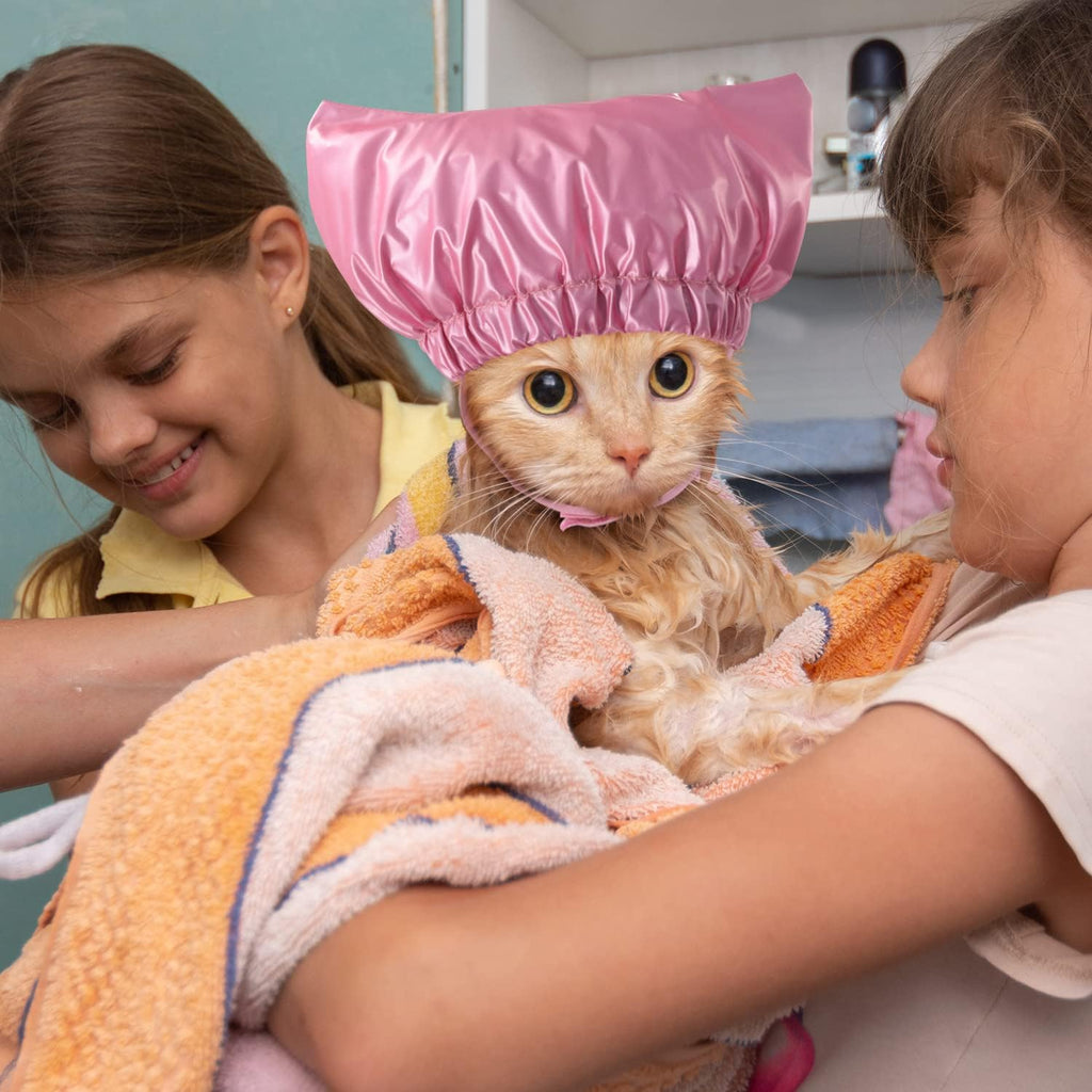 Sezdeki pet shower cap used for rain protection