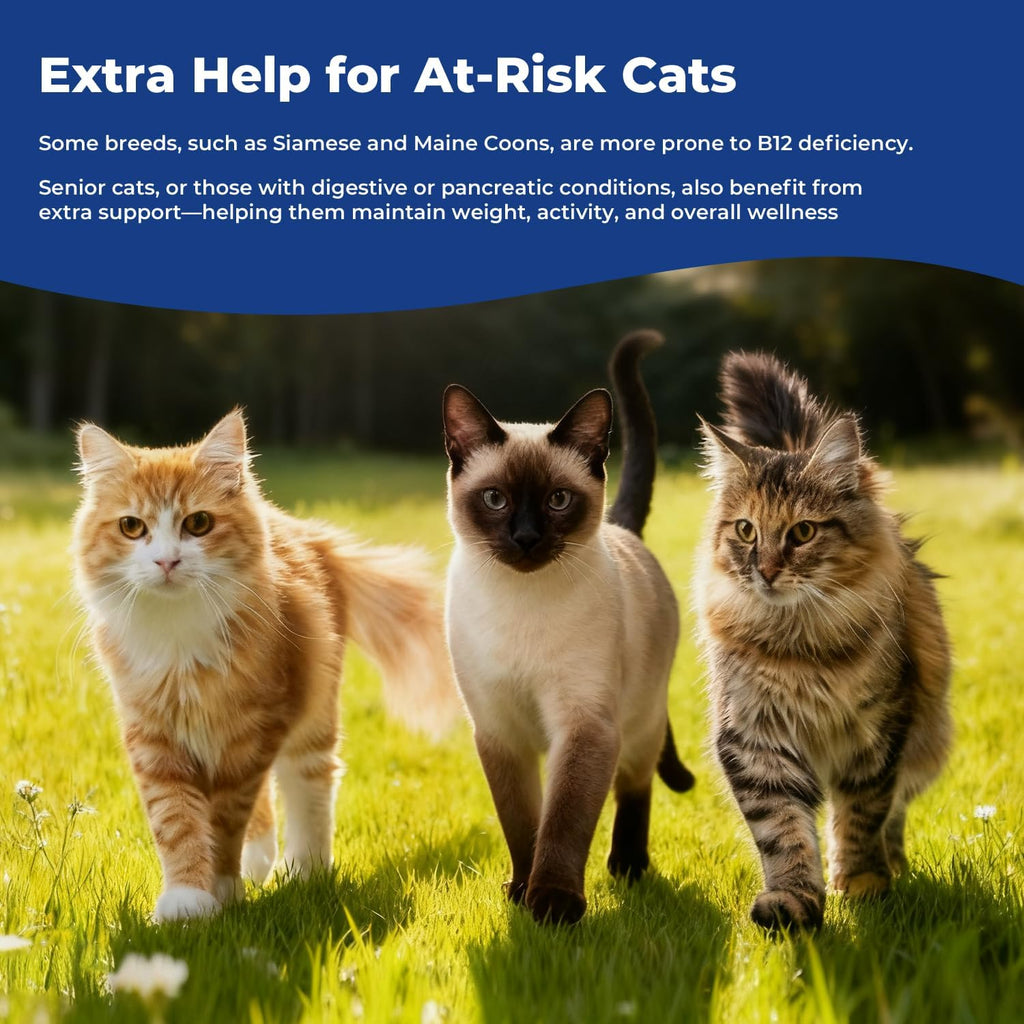 Premium liquid B12 methylcobalamin supplement benefits for senior cats and picky eaters