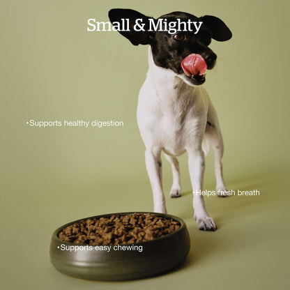 Back of Now Fresh Good Gravy pet food packaging with guaranteed analysis and ingredient list