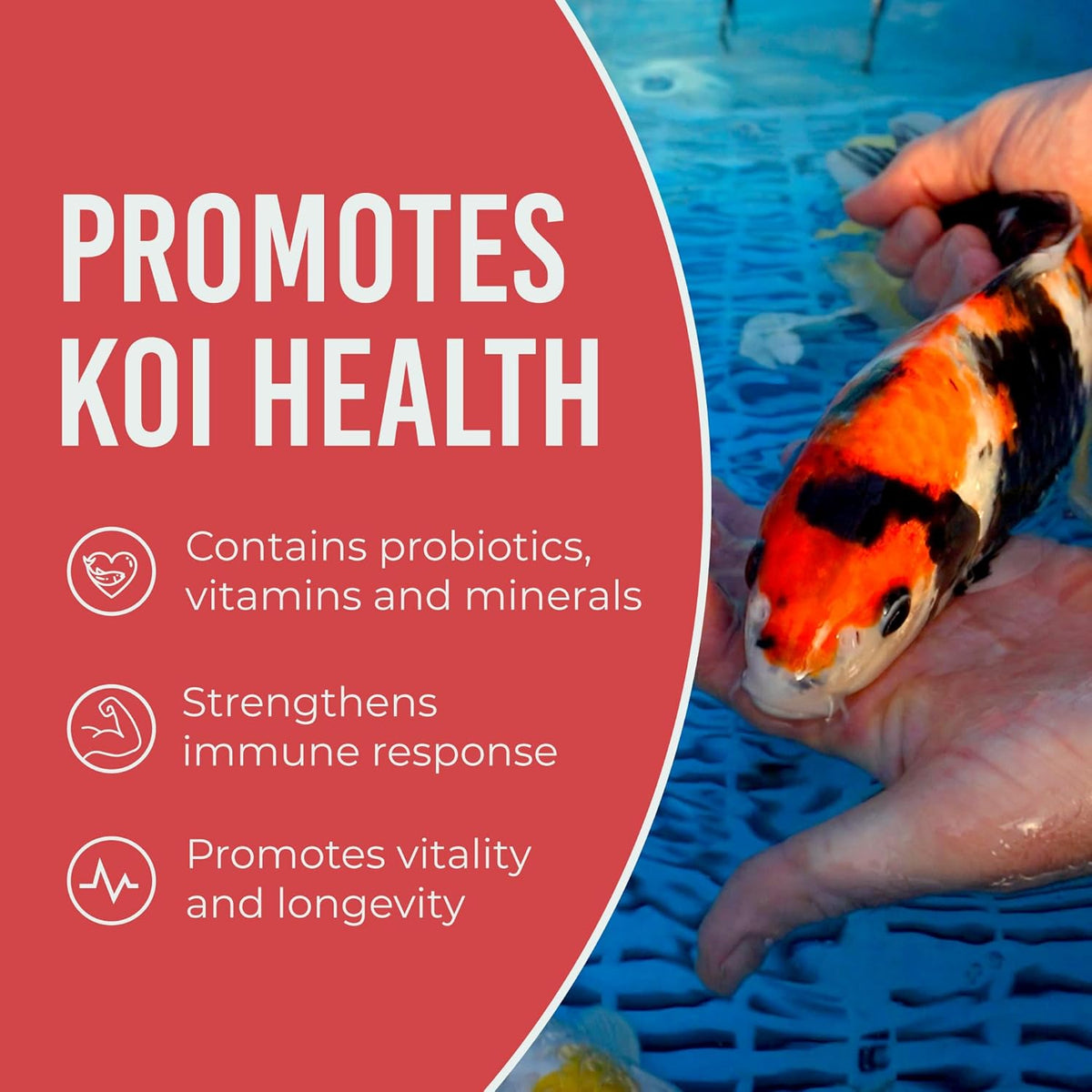 Professional formula koi food pelleted texture demonstration