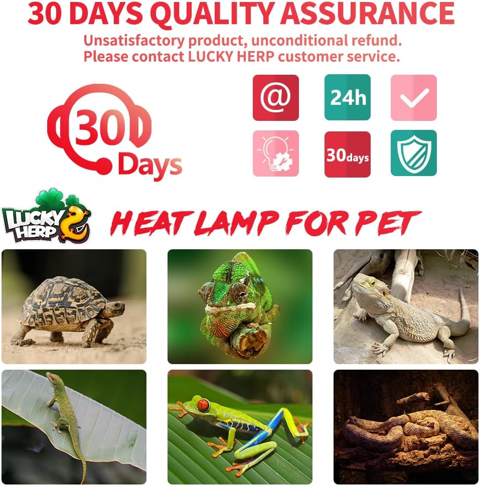 Red heat lamp bulbs for snakes and turtles side profile view