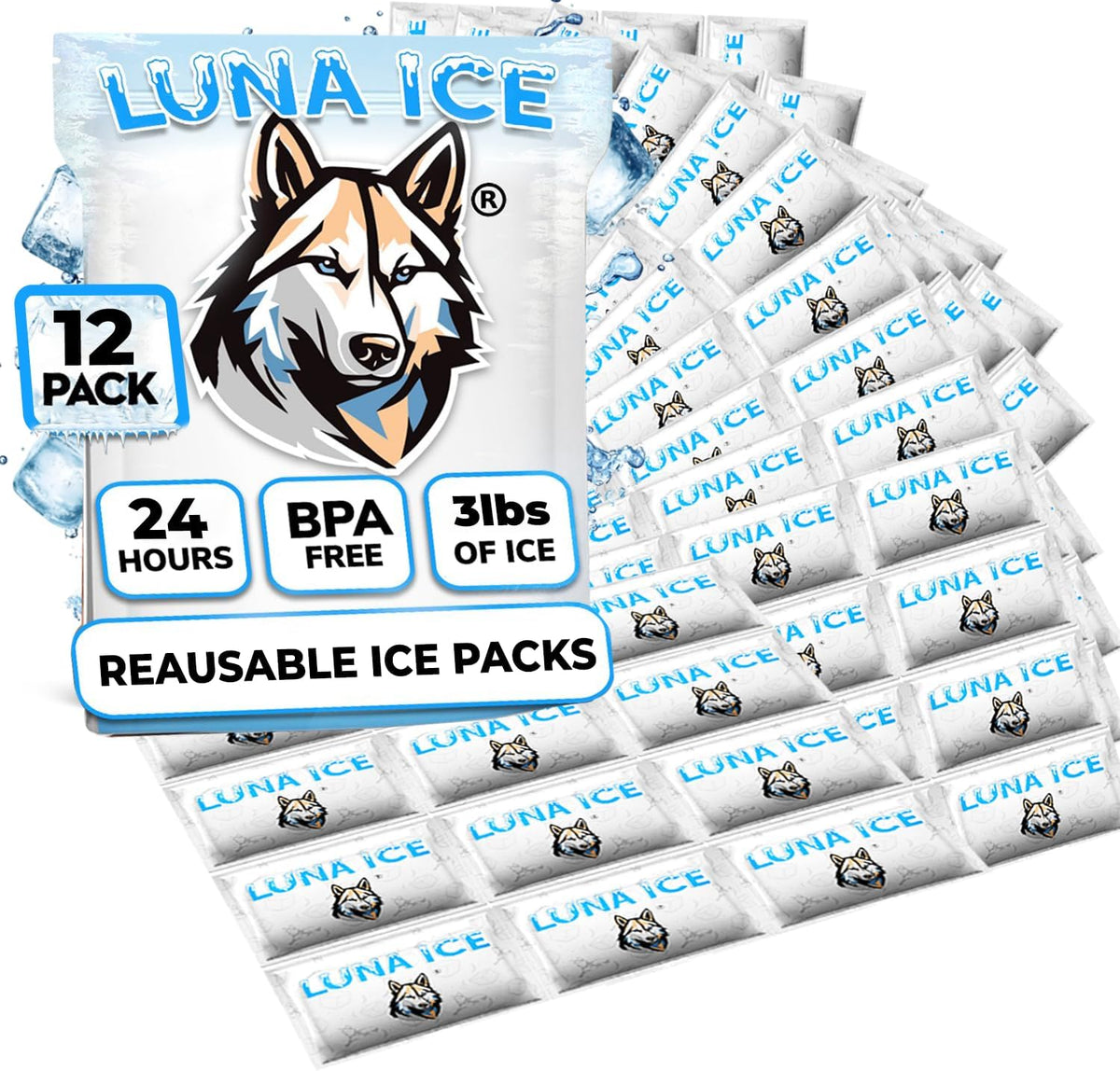 Luna Ice reusable dry ice packs 12 pack bulk set