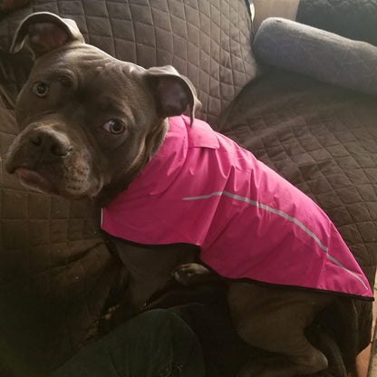 Lightweight breathable pet poncho for Indian monsoon walks