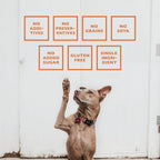 Baffs Naturals single ingredient air dried dog chews