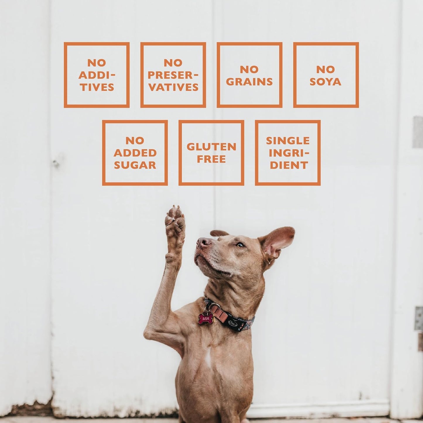 Baffs Naturals single ingredient air dried dog chews