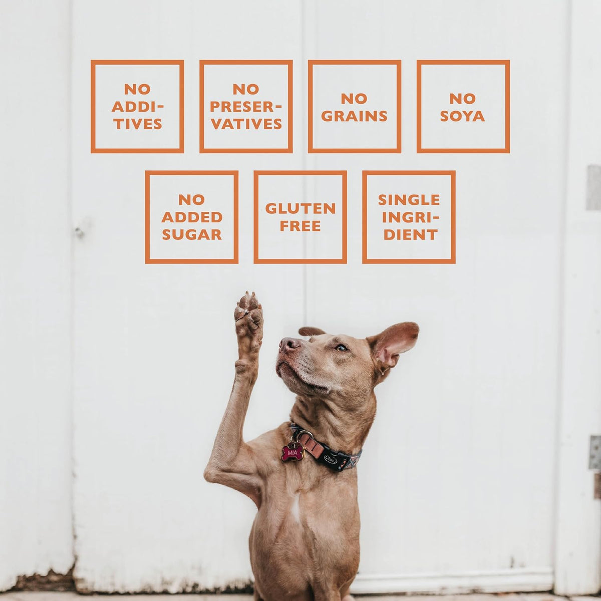 Baffs Naturals single ingredient air dried dog chews