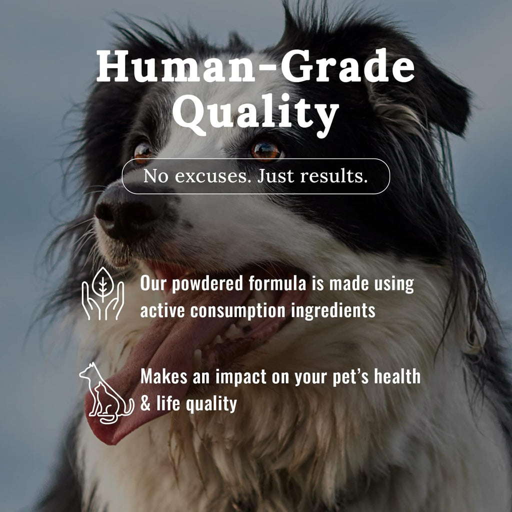 Mojo canine and feline supplement bottle with measuring scoop