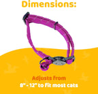 BirdsBeSafe protective cat collar showing the flexible stretch fabric detailing.