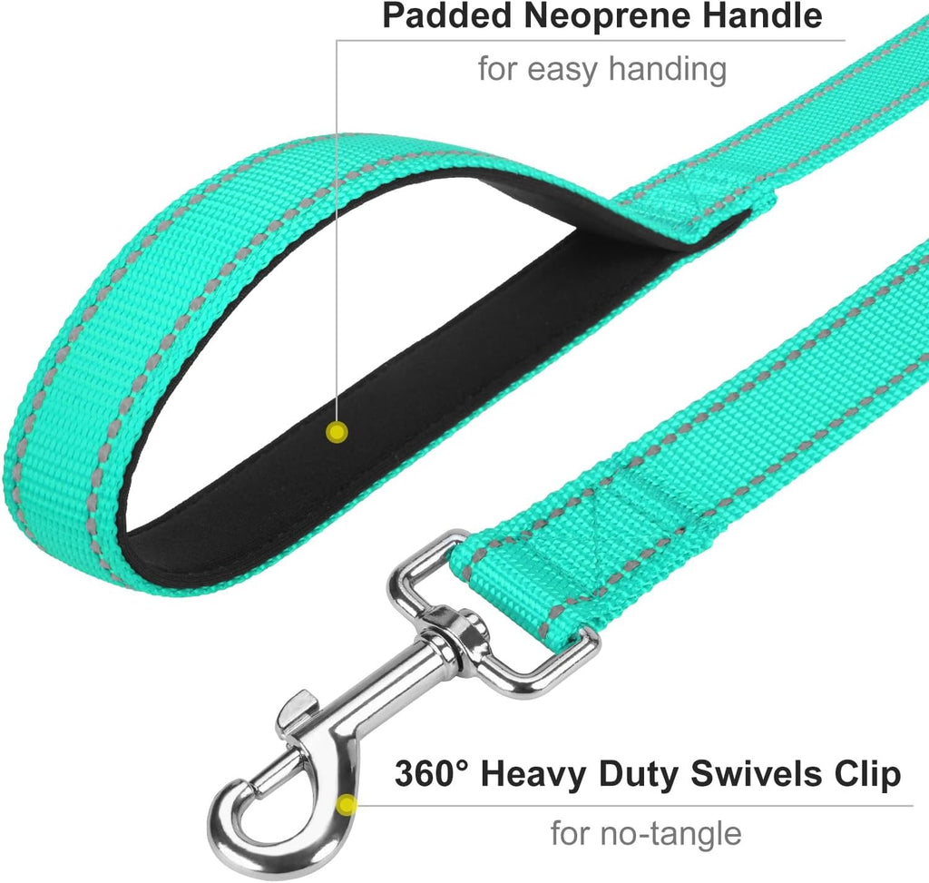Turquoise Erbine training leash attached to a medium sized dog collar side view
