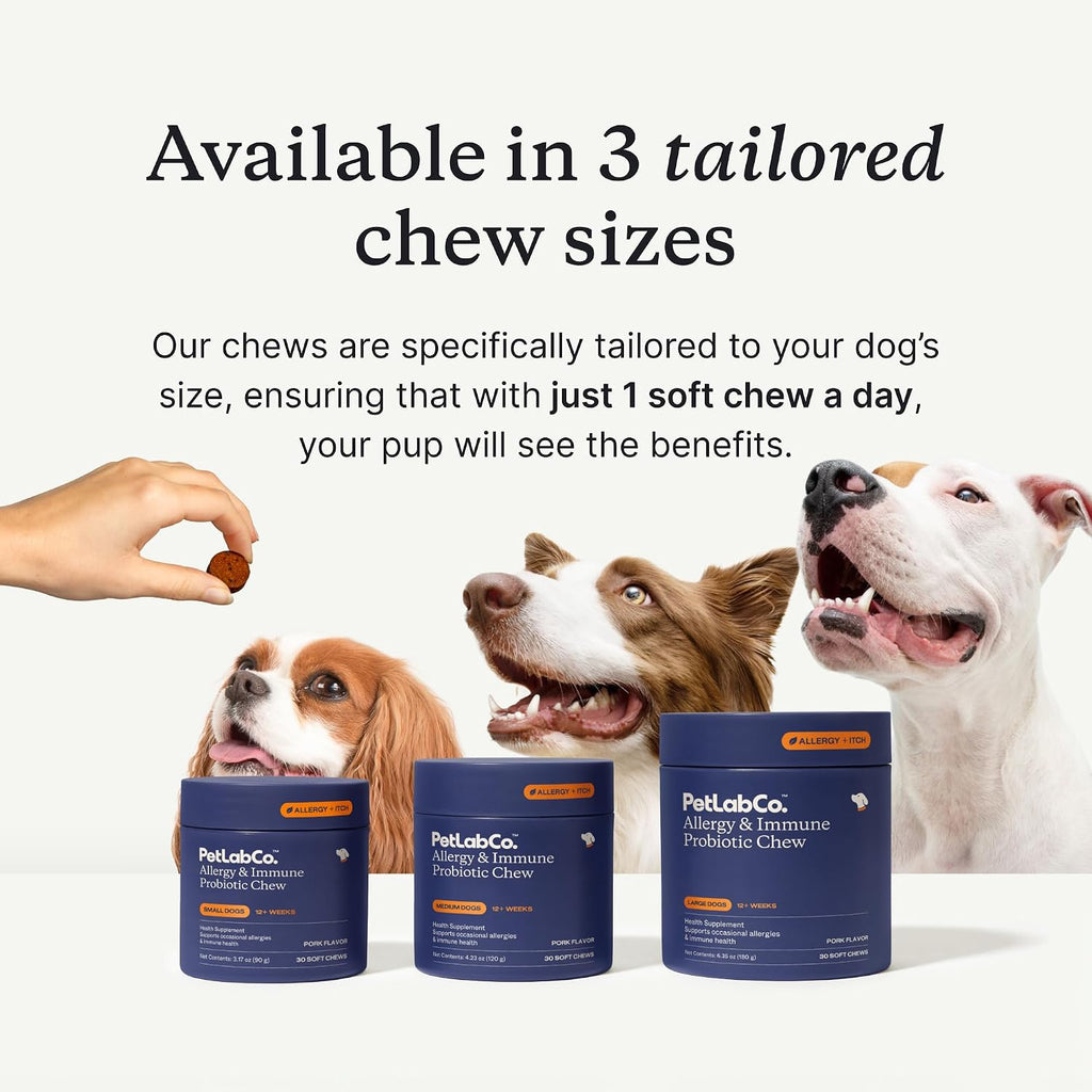 PetLab Co. small dog probiotic soft chews showing thirty count container
