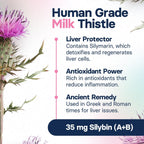 SilymarinAdvanced dog liver support dosage instructions close up