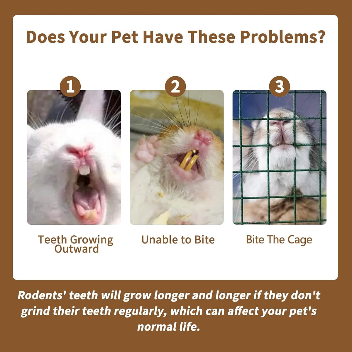Guinea pig chew toys from Fhiny highlighting safe dental grinding materials.