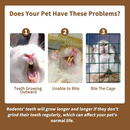Guinea pig chew toys from Fhiny highlighting safe dental grinding materials.