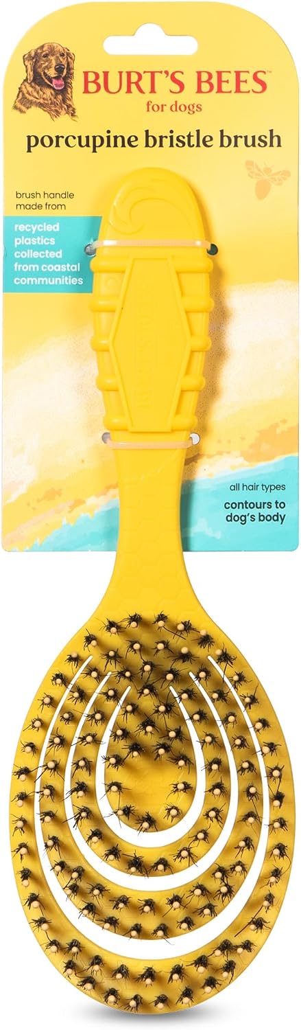 Burt's Bees for Pets Dual Sided Flea Comb with Handle from Recycled Coastal Plastics, Fine and Wide Stainless Steel Pins Remove Fleas, Flea Eggs, Tangles, and Dander, 6 Inch - Image 13