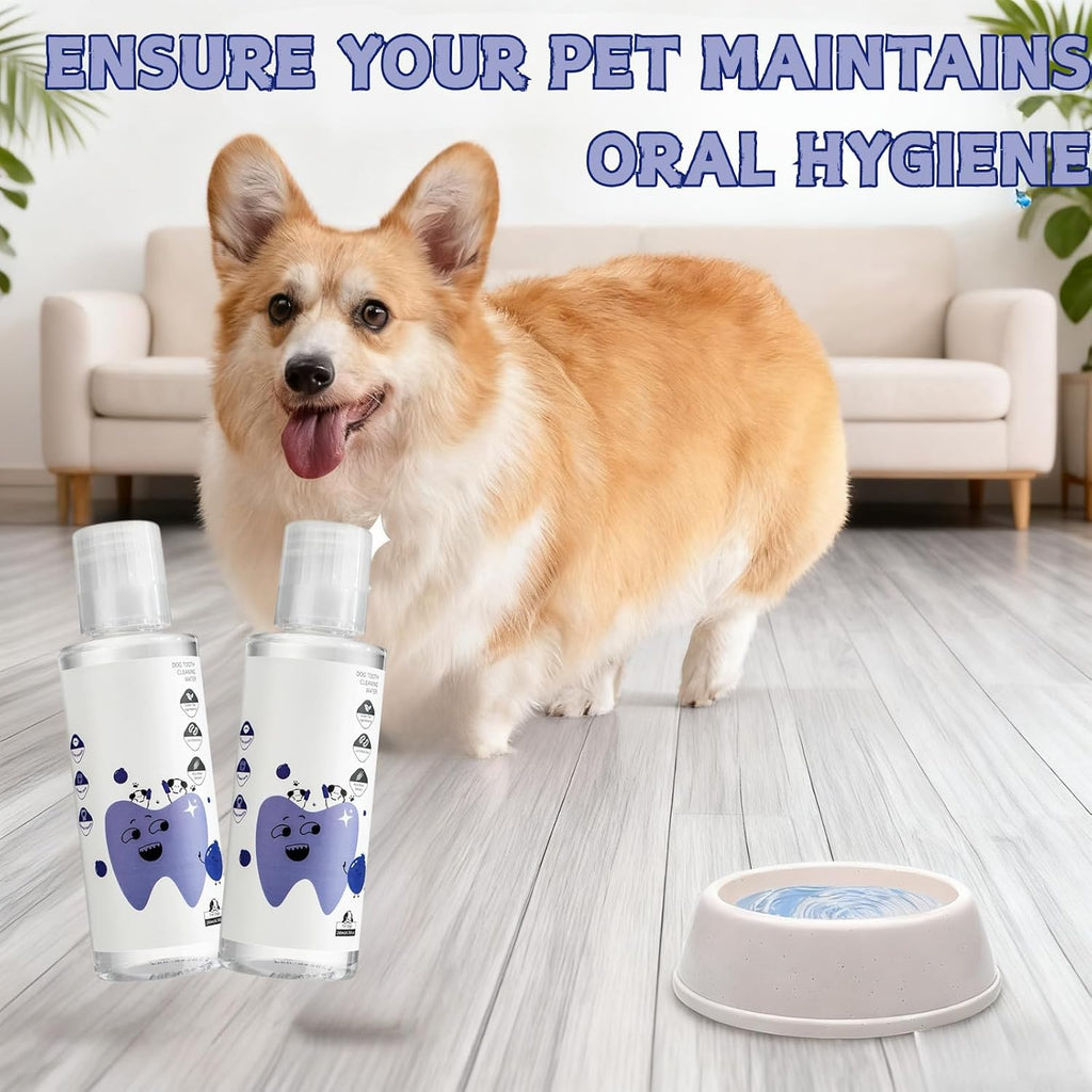 Imported PawBright dental plus daily no brushing pet mouth wash treatment
