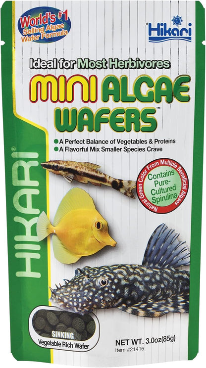 Hikari Mini Algae Wafers, 0.77 oz - Image 9
