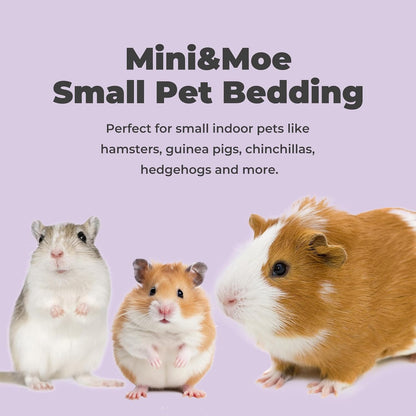 Diagram of dust-free screening process for Mini&Moe