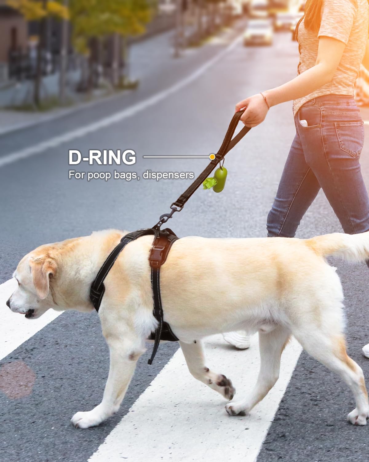 Joytale black dog training leash demonstrating the 1.2 inch wide structure
