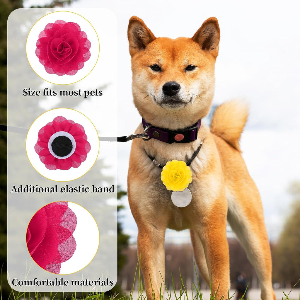 QfwdfcTrenz lake blue and yellow flower collar accessories