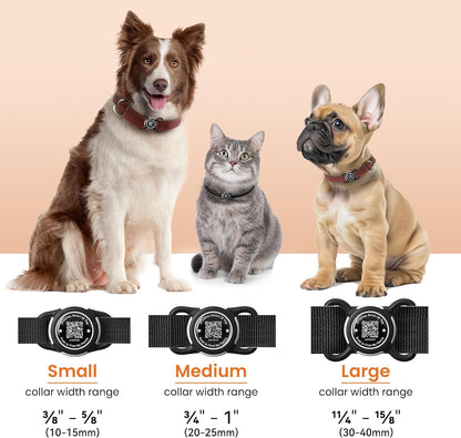 Premium silicone and ABS airtag holder being slid onto a standard nylon dog collar strap