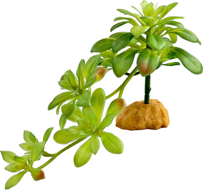 Woyrise Reptile Plants Succulent, Artificial Desert Plant for Terrarium Decor, Bearded Dragon Tank Accessories fit Gecko Lizard Chameleon Ball Python Snake - Guzmania lingulata - Image 8