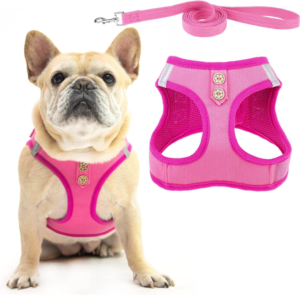 PUPTECK Dog Harness and Leash Set for Small Medium Dogs No Pull Step-in Soft Mesh Puppy Cat Vest Harnesses Reflective at Night, Green S - Image 13