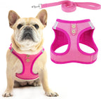PUPTECK Dog Harness and Leash Set for Small Medium Dogs No Pull Step-in Soft Mesh Puppy Cat Vest Harnesses Reflective at Night, Green S - Image 13