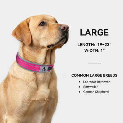 Joytale pet collar hardware and metal grommets detail