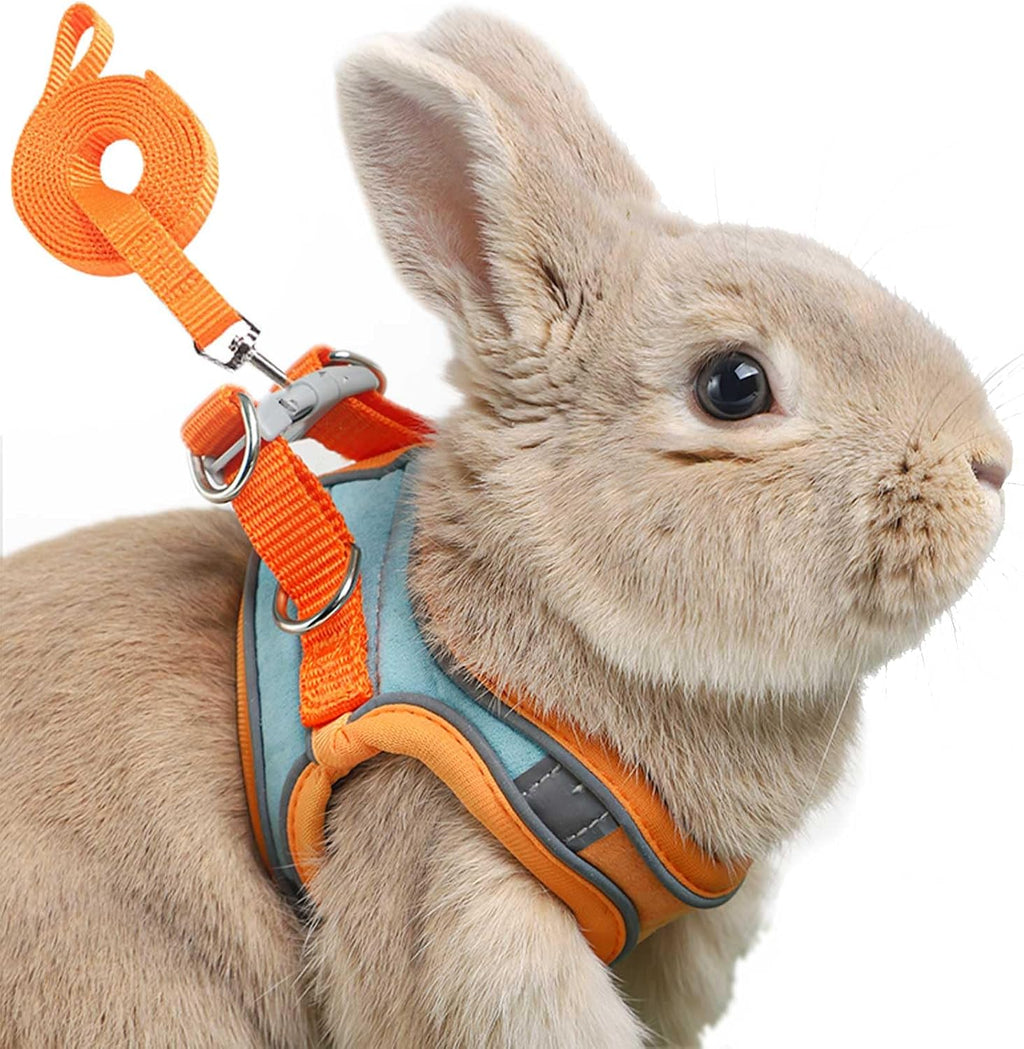 SQUSIMEI adjustable bunny harness and leash set front view orange green small rabbit vest