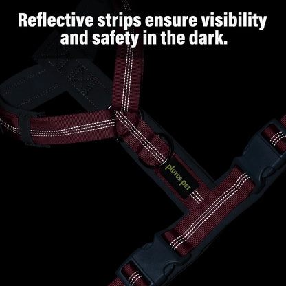 Plutus Pet medium dog harness hot pink color on a dog outdoor view