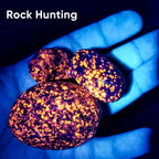 Luxnovaq 365 nanometer ultraviolet torch illuminating dried pet urine stains on a carpet.