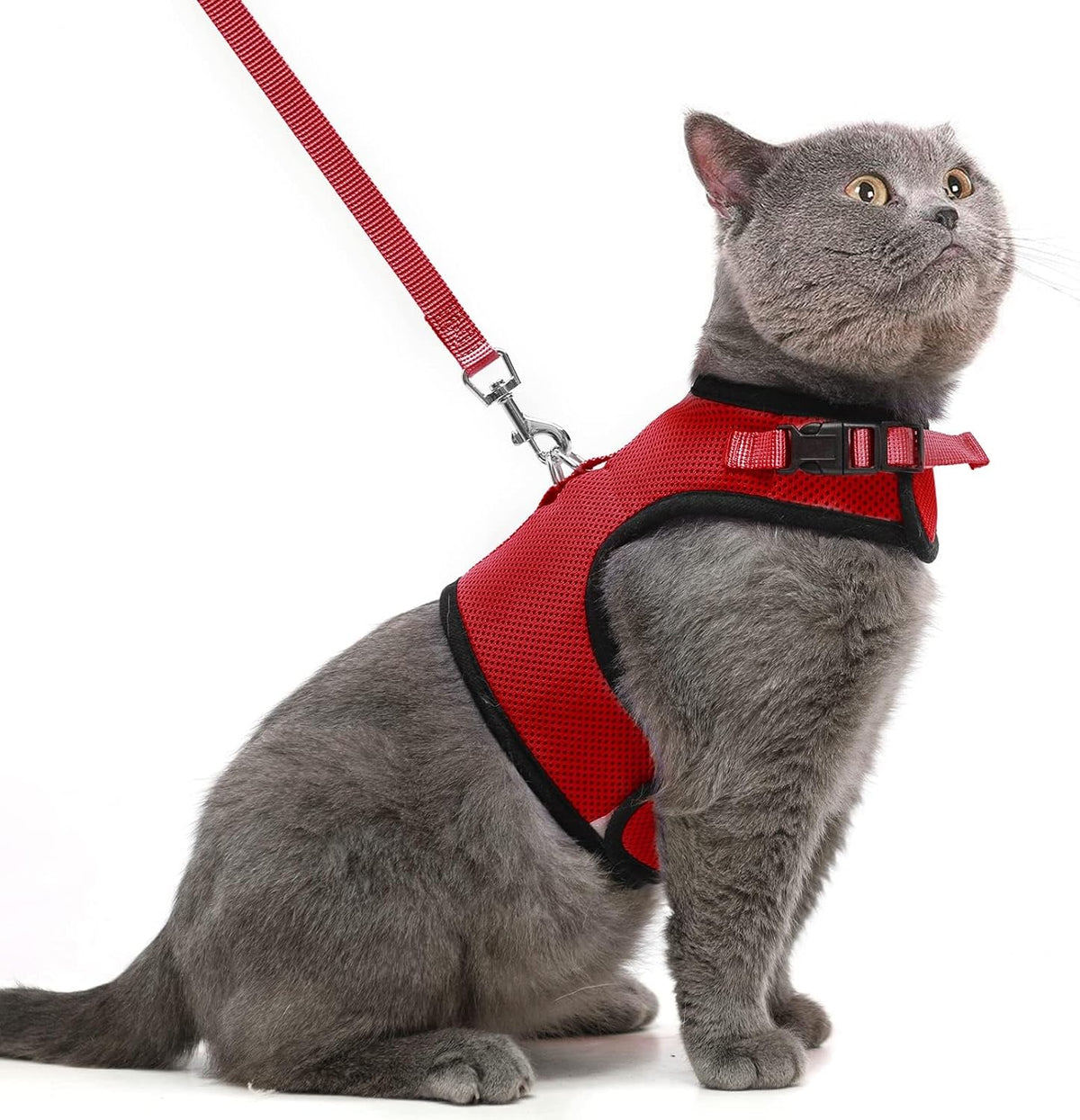 PUPTECK Soft Mesh Cat Vest Harness and Leash Set Puppy Padded Pet Harnesses Escape Proof for Cats Small Dogs (X-Large, Lake Blue) - Image 14