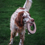 Tall Tails fetch toy for medium and large dogs