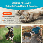 Application of non-greasy paw wax on dog pad
