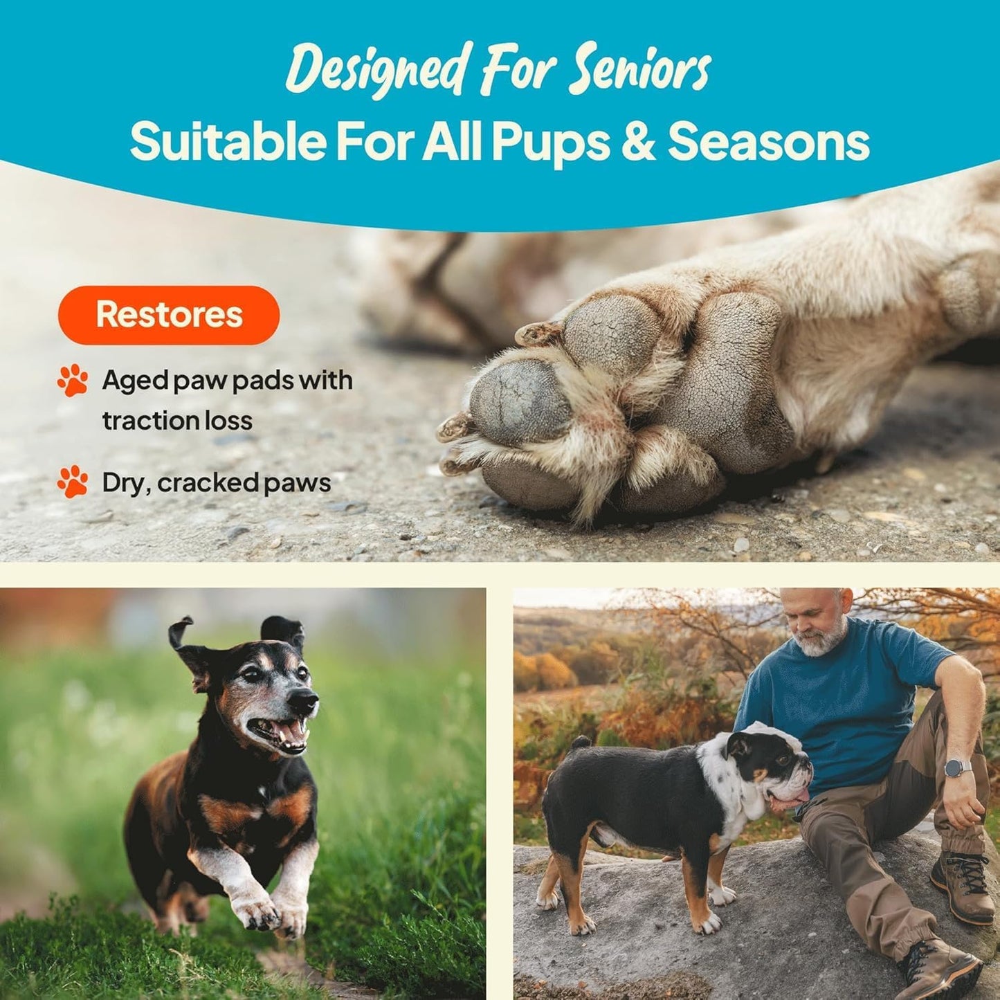 Application of non-greasy paw wax on dog pad