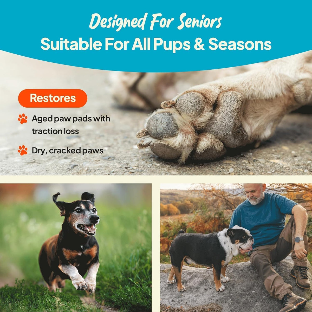 Application of non-greasy paw wax on dog pad
