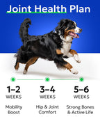 Bark And Spark imported pet vitamins for large and small breed hip support labels