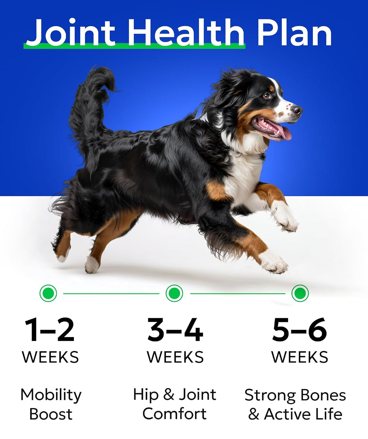 Bark And Spark imported pet vitamins for large and small breed hip support labels
