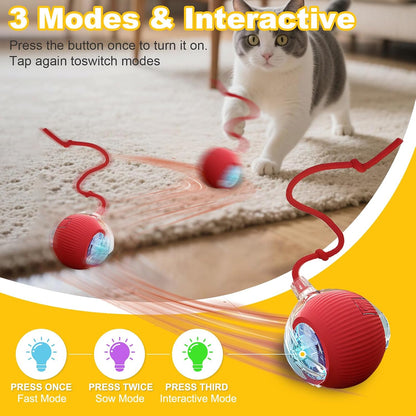 Petayouj automatic moving chase toy red and green variants showing food-grade silicone shell.
