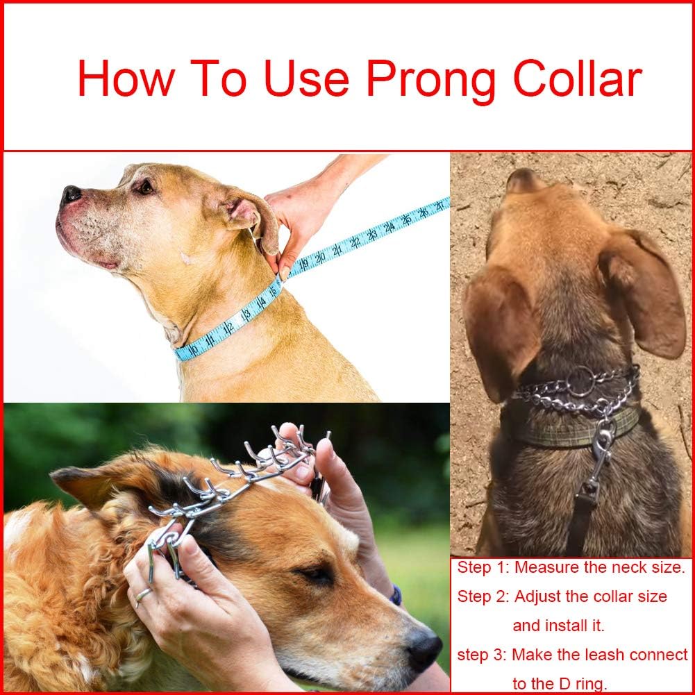 Aheasoun professional dog obedience collar imported pet gear