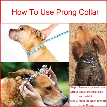 Aheasoun professional dog obedience collar imported pet gear