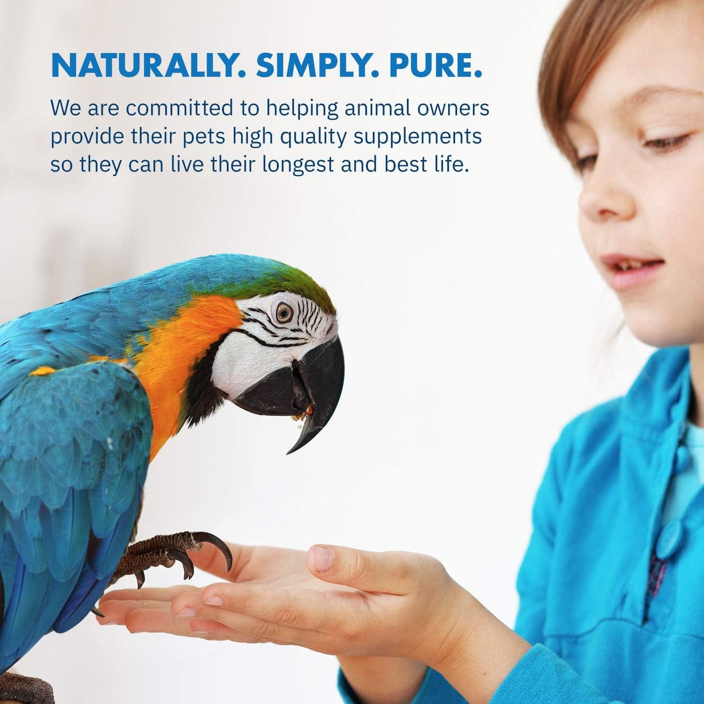 Close up of the dairy free avian probiotics jar for pet birds