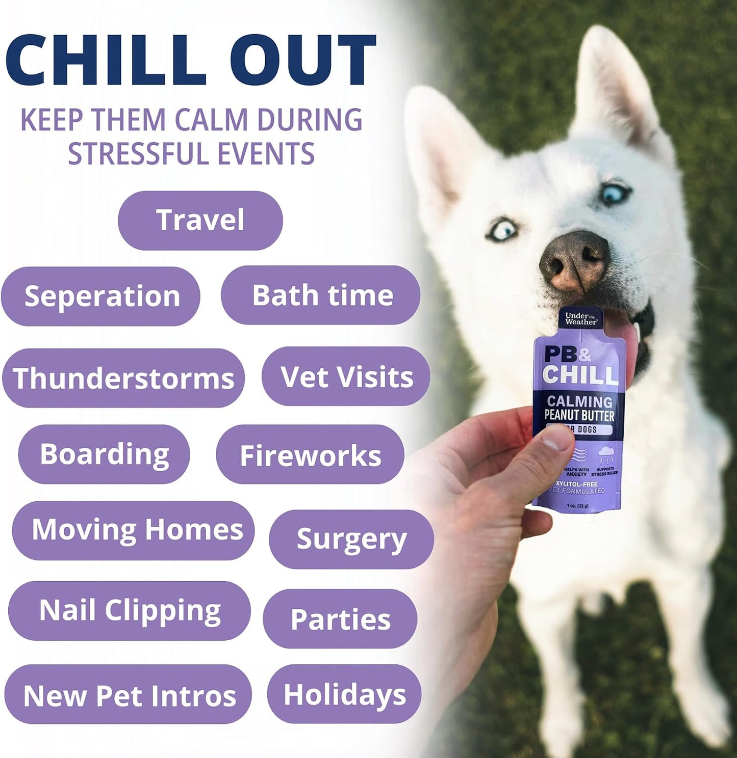 Six pack case of Under the Weather veterinary formulated dog calming supplements