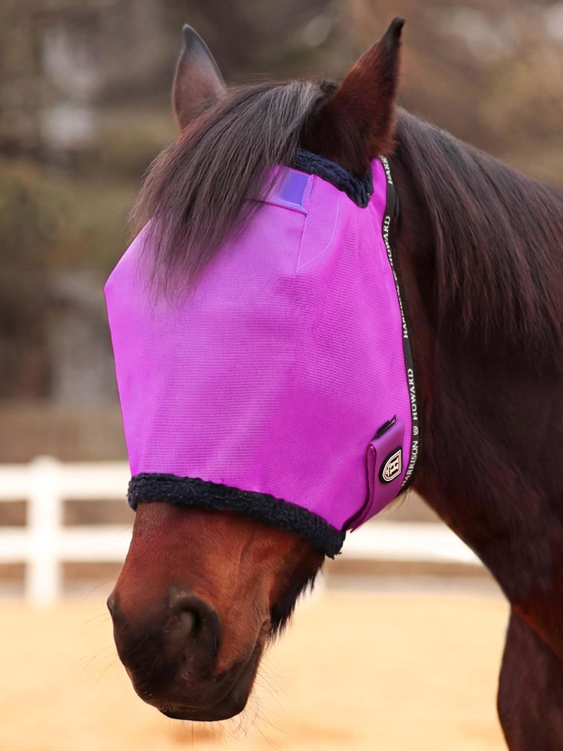 Harrison Howard reinforced horse fly mask purple front view