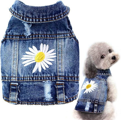Pawstrip dog denim jacket front view featuring classic lapel collar and secure button closures for small puppies