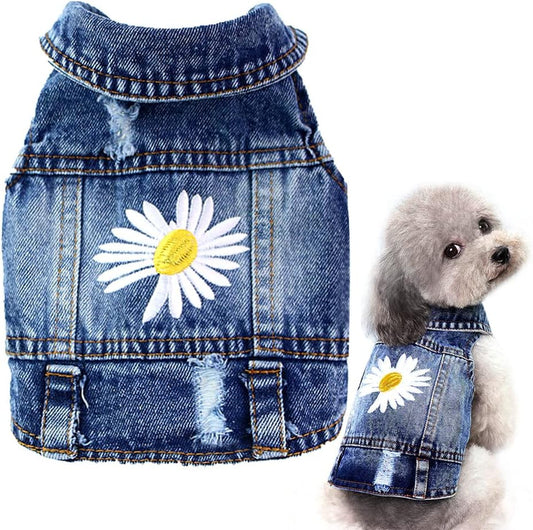 Pawstrip dog denim jacket front view featuring classic lapel collar and secure button closures for small puppies