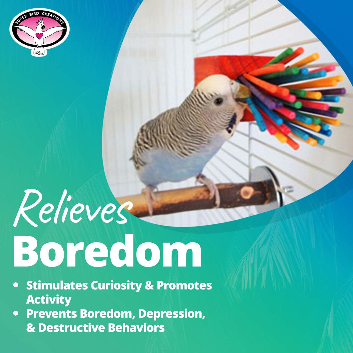Super bird creation toy mounted for pet parrots